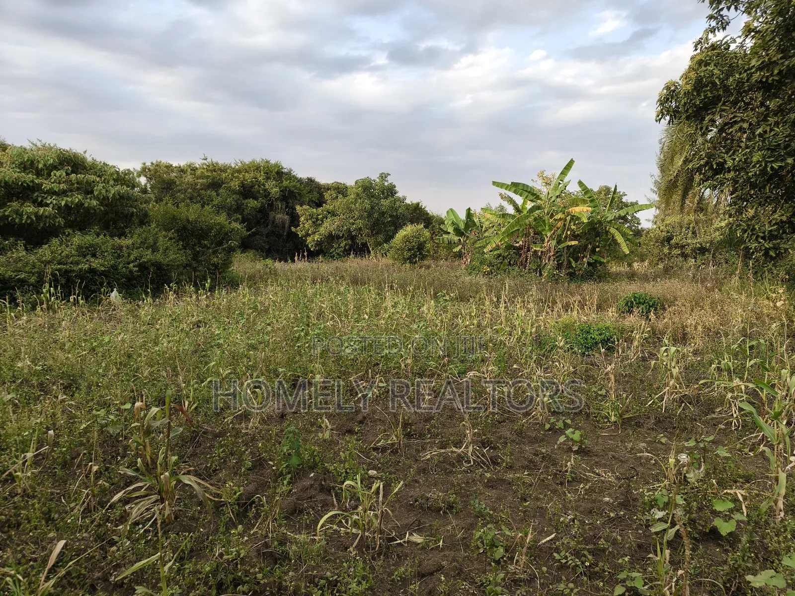 One Acre Piece of Land in Ngong, Olkeri Good Location in Ol Keri