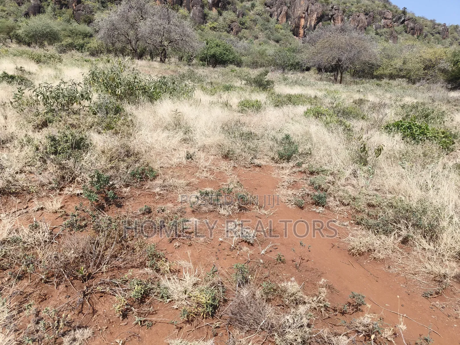 7 Acres Piece of Land on Sale in Ngong, Saikeri, Red Soil in Ngong