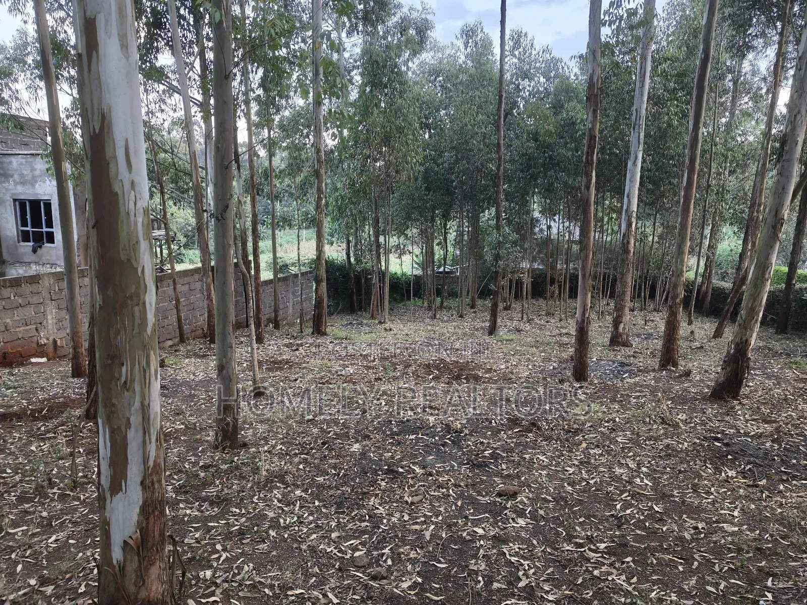 Prime Quarter Acre Plot in Ngong Touching Kahara Main Road in Ngong