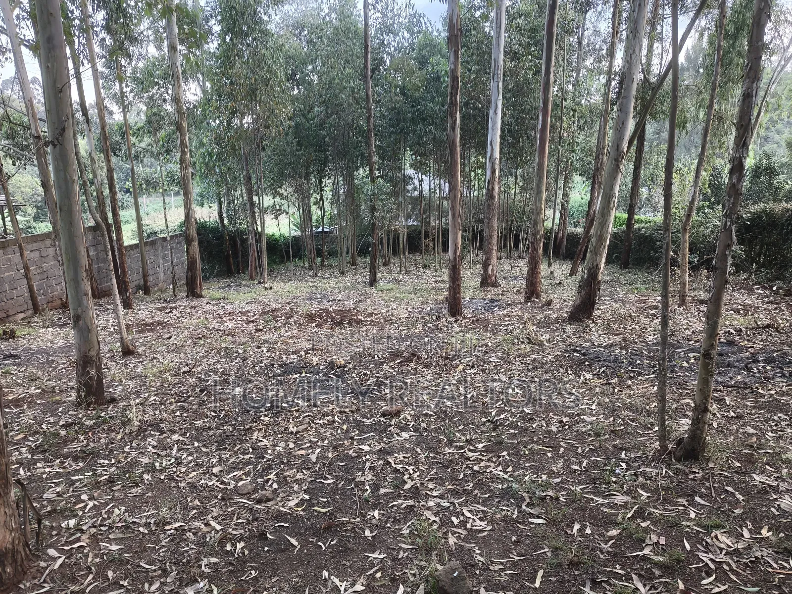 Prime Quarter Acre Plot in Ngong Touching Kahara Main Road in Ngong
