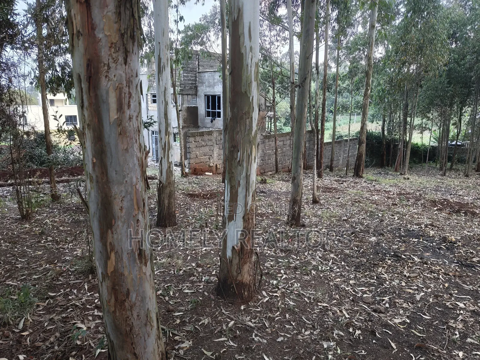 Prime Quarter Acre Plot in Ngong Touching Kahara Main Road in Ngong