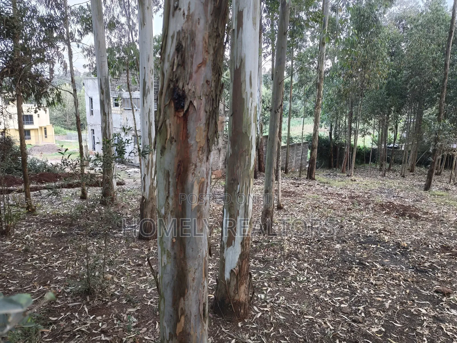 Prime Quarter Acre Plot in Ngong Touching Kahara Main Road in Ngong