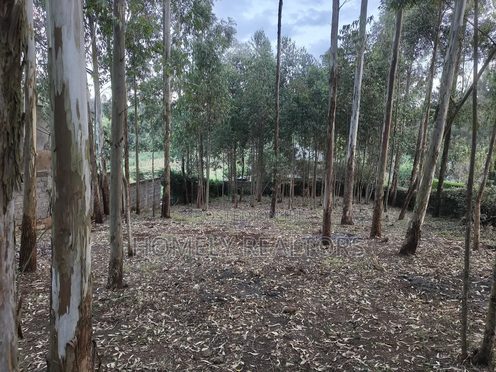 Prime Quarter Acre Plot in Ngong Touching Kahara Main Road in Ngong