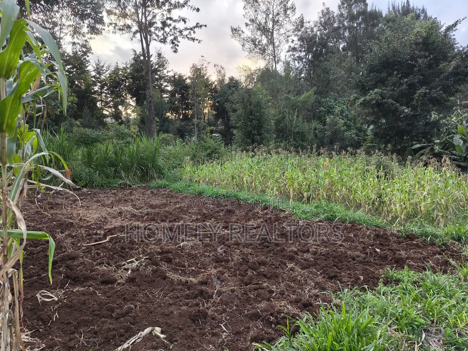 Eighth Acre Plot in Ngong, Along Kahara Road. Red Soil in Ngong