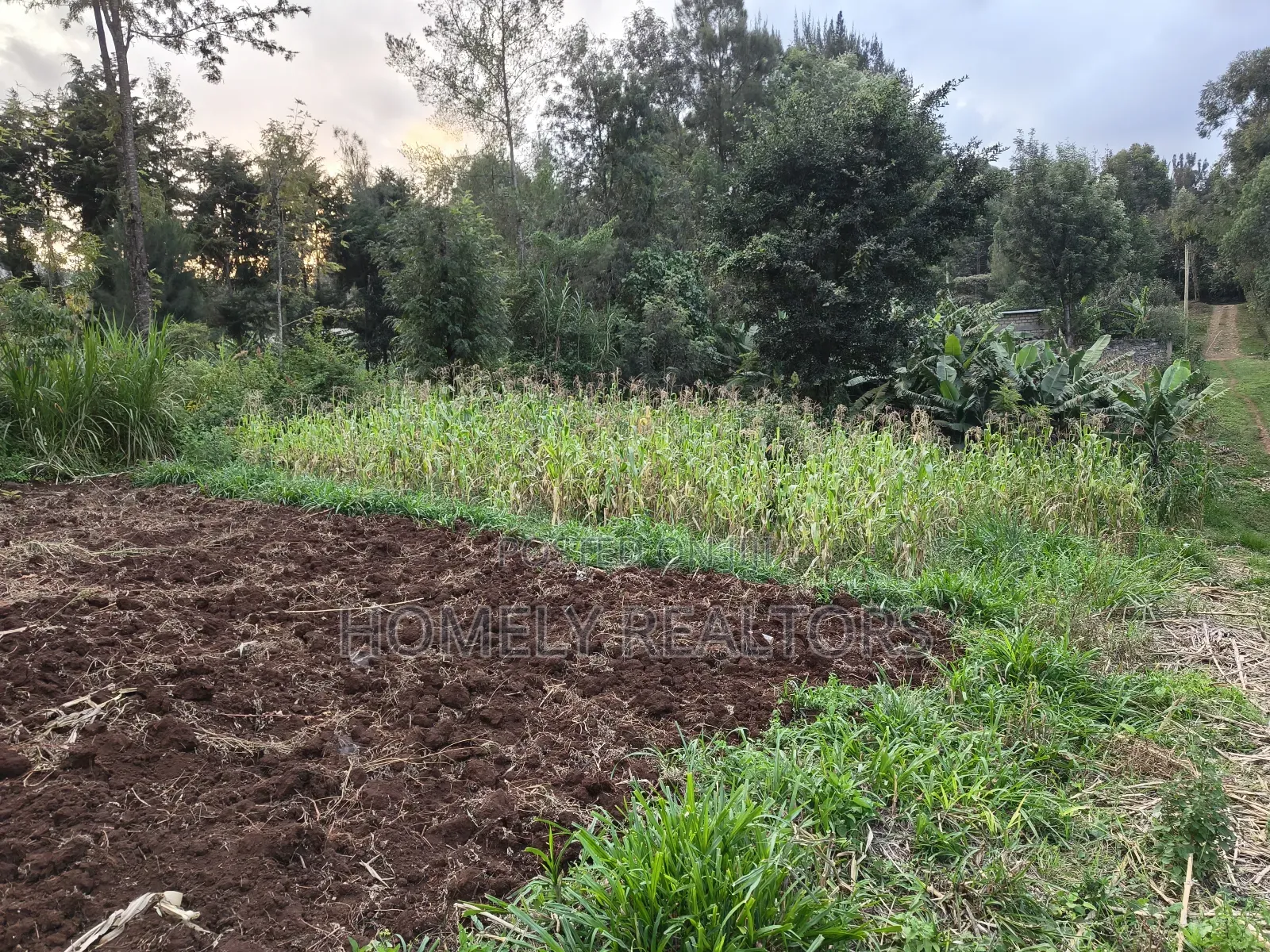 Eighth Acre Plot in Ngong, Along Kahara Road. Red Soil in Ngong