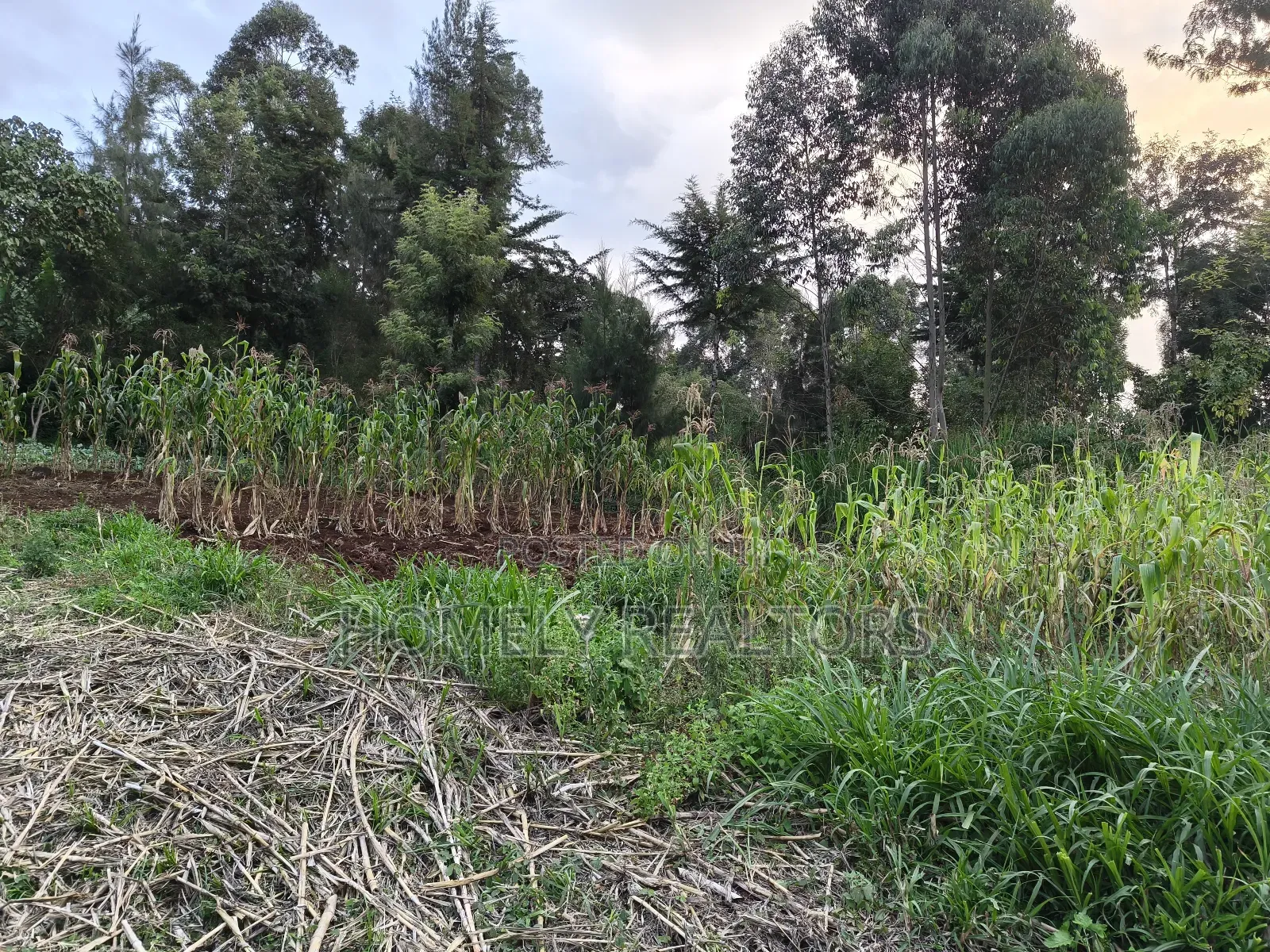 Eighth Acre Plot in Ngong, Along Kahara Road. Red Soil in Ngong
