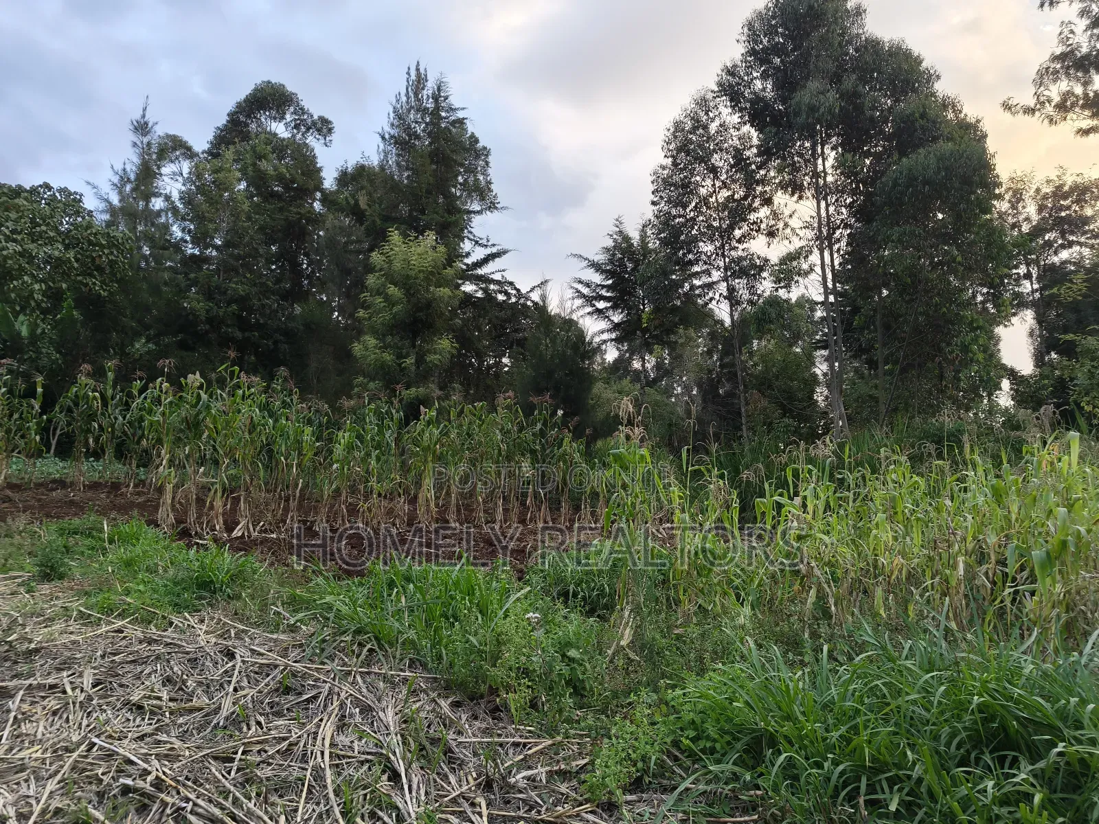 Eighth Acre Plot in Ngong, Along Kahara Road. Red Soil in Ngong
