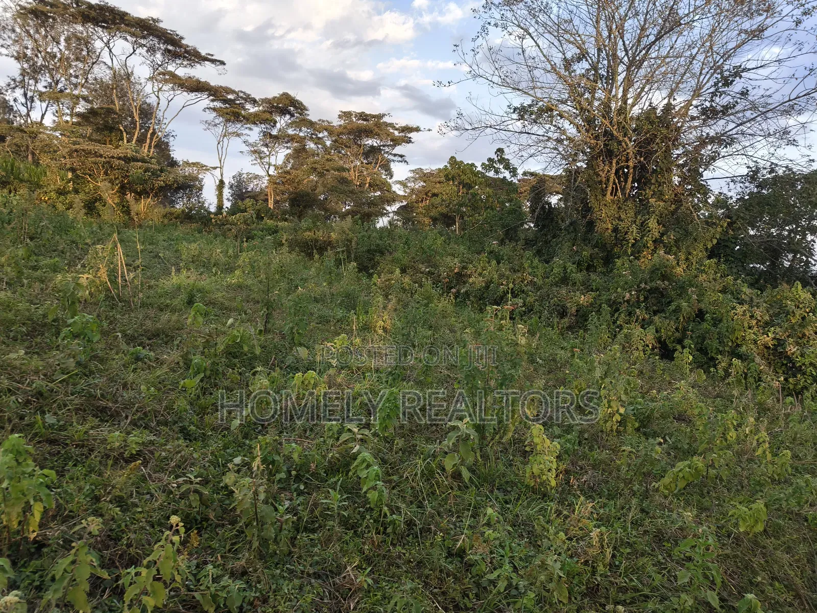 Residential Eighth Acre Plots in Ngong, Bondeni. Red Soil in Ngong