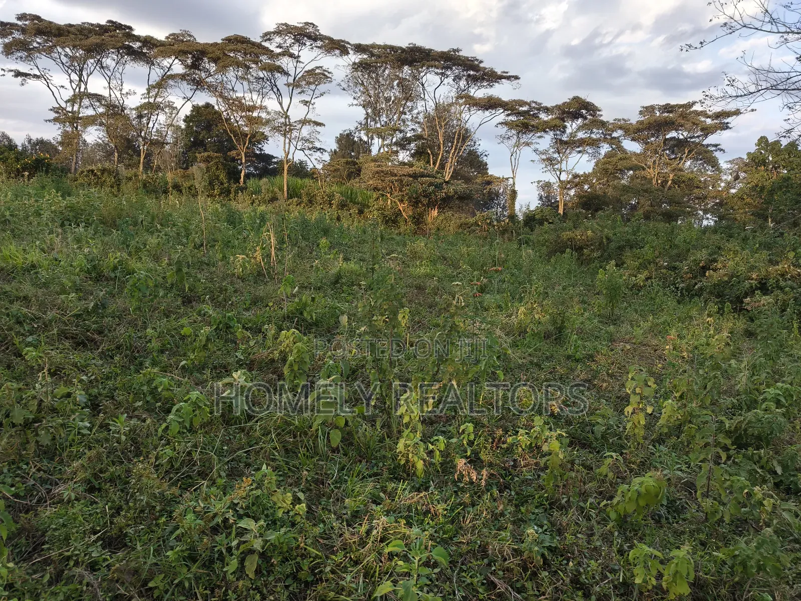 Residential Eighth Acre Plots in Ngong, Bondeni. Red Soil in Ngong