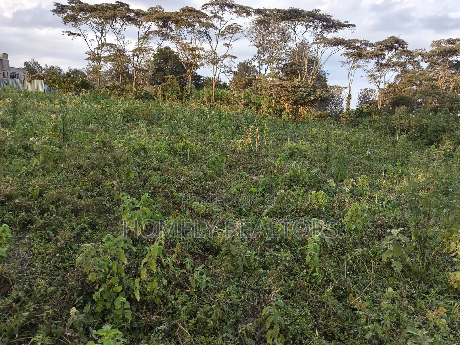 Residential Eighth Acre Plots in Ngong, Bondeni. Red Soil in Ngong