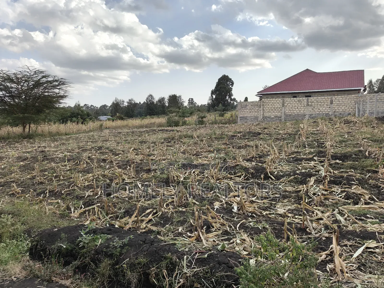 Residential Quarter Acre Plot in Ngong, Merisho Near Tarmac in Ngong
