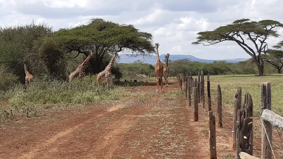 534 Acres Ranch Kajiado in Bisil