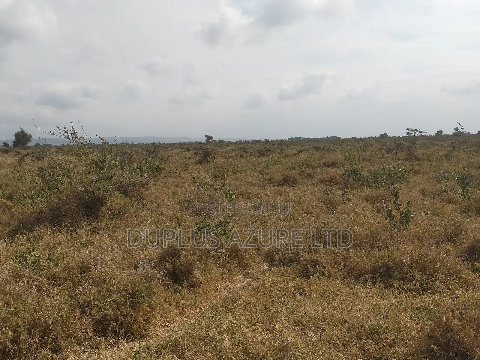 4 Acres in Kajiado-Ildamat in Ildamat