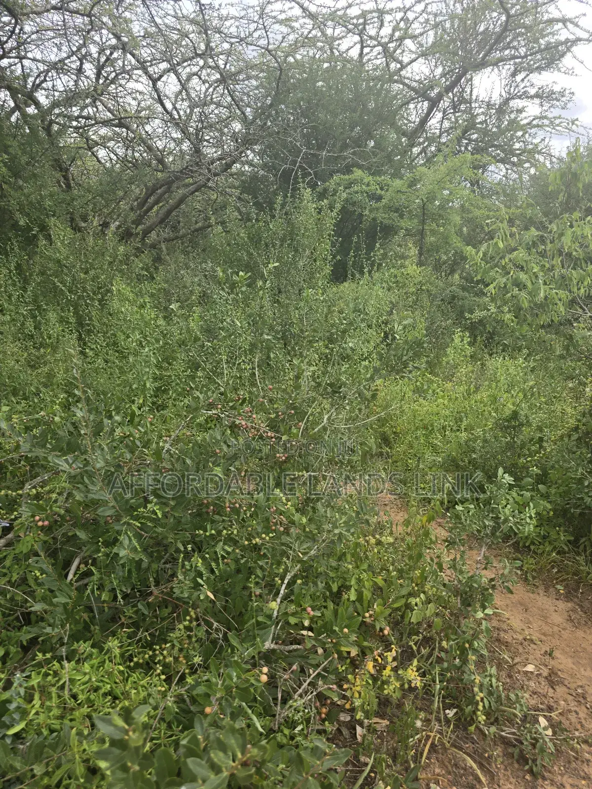 445acres At Kibwezi Off Mombasa Road On Sale in Mtito Andei