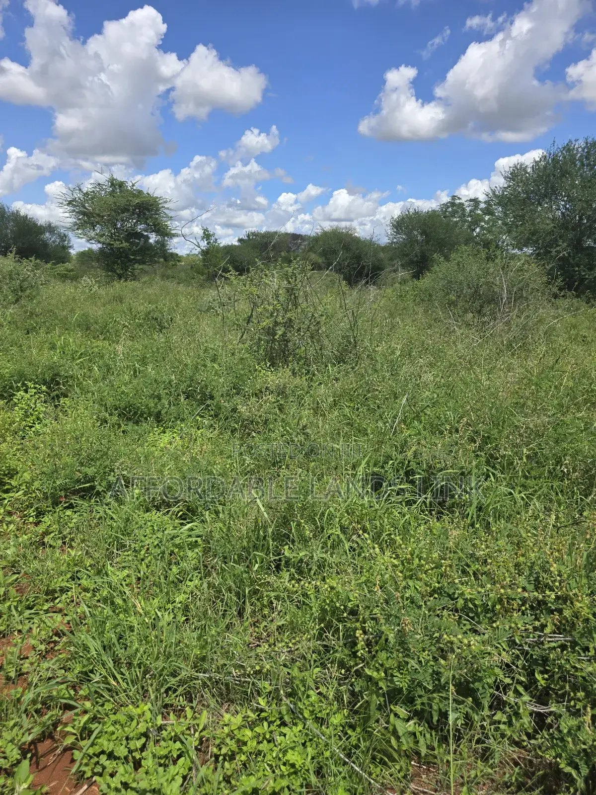 445acres At Kibwezi Off Mombasa Road On Sale in Mtito Andei