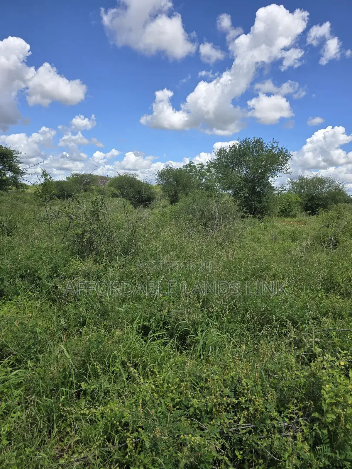 445acres At Kibwezi Off Mombasa Road On Sale in Mtito Andei