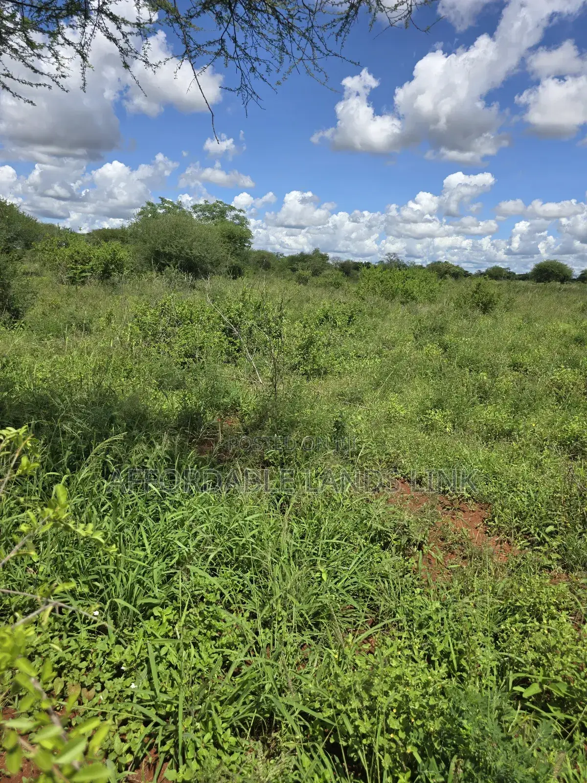 445acres At Kibwezi Off Mombasa Road On Sale in Mtito Andei