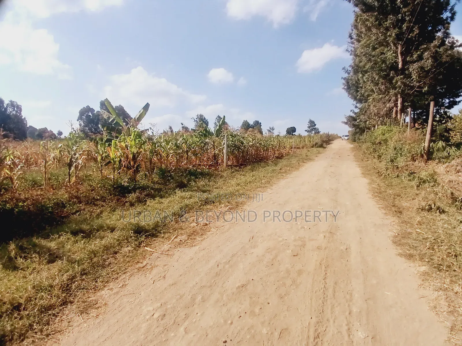 Prime Residential Plot for Sale in Kikuyu