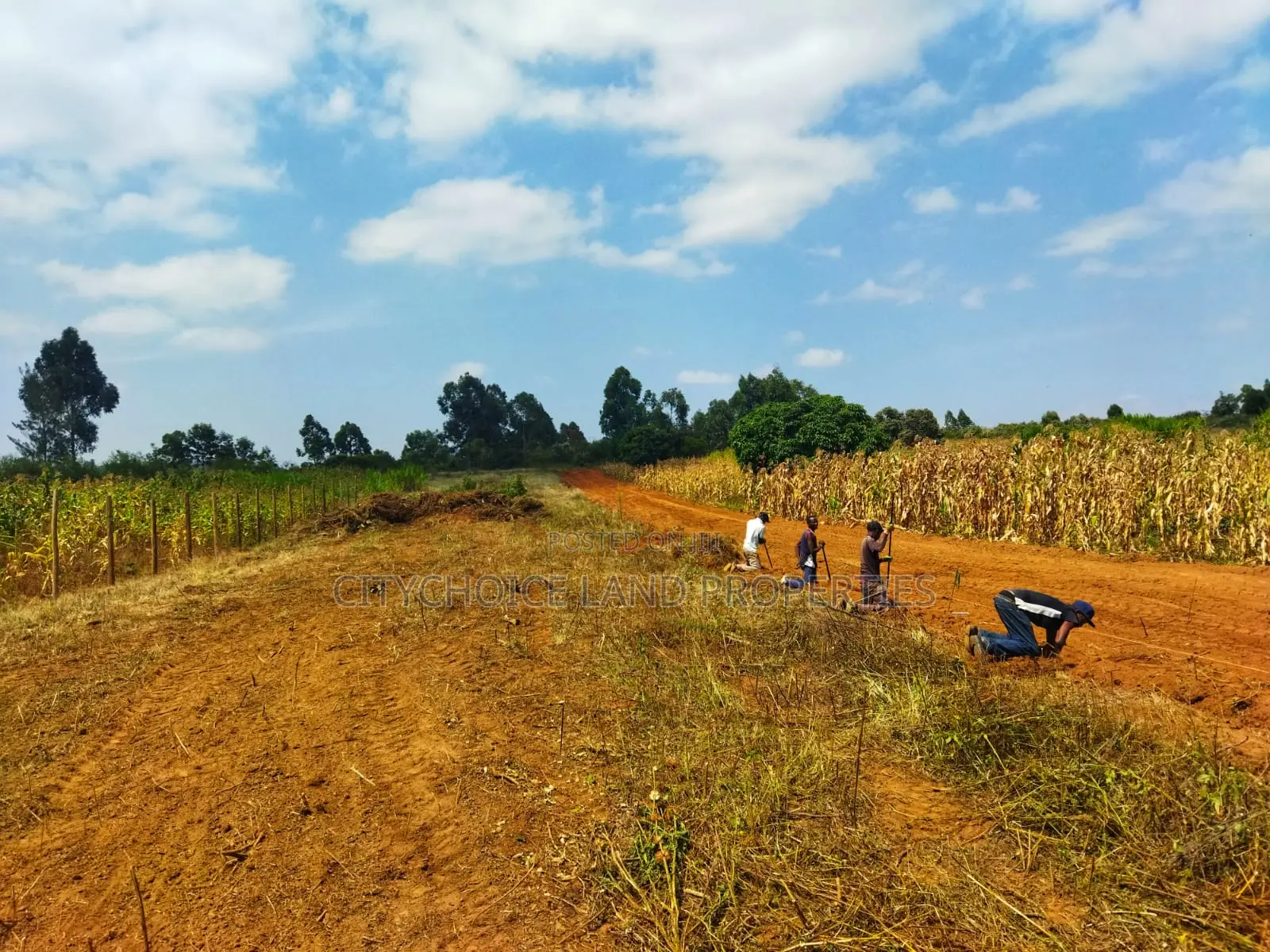 Kikuyu Nachu Mbomboini Plots – Ready for You in Karai