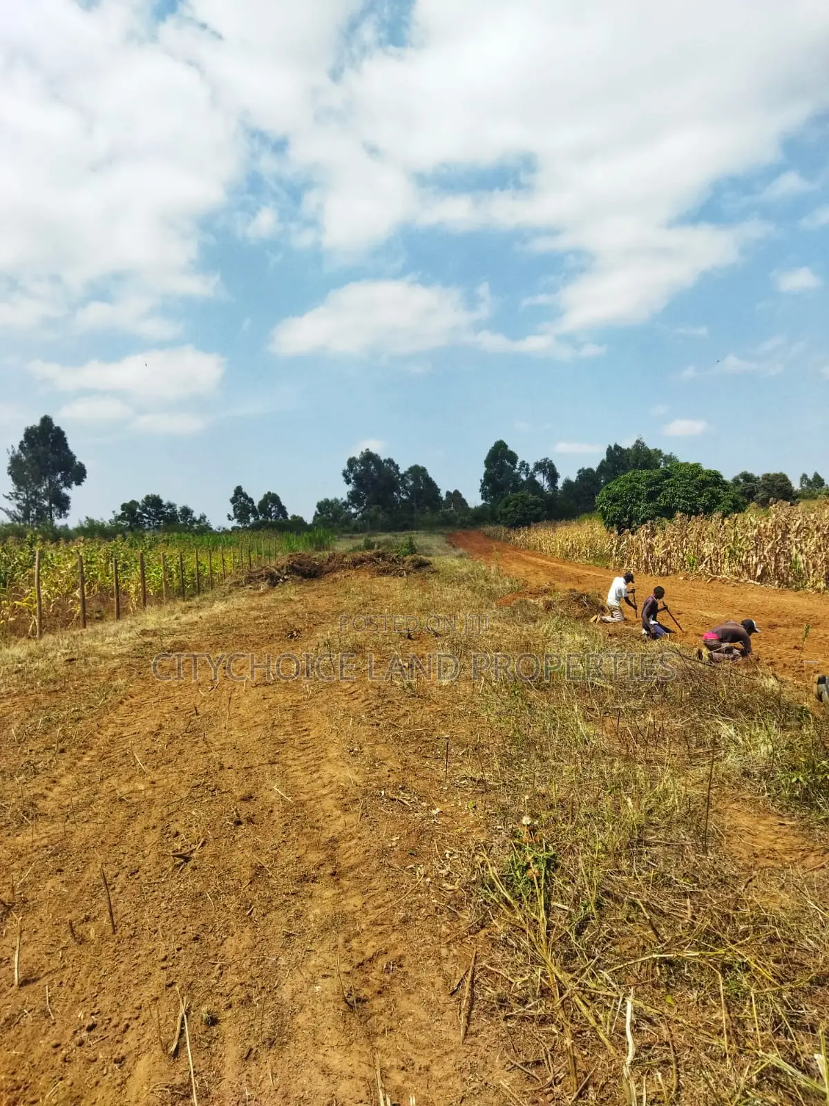 Kikuyu Nachu Mbomboini Plots – Ready for You in Karai