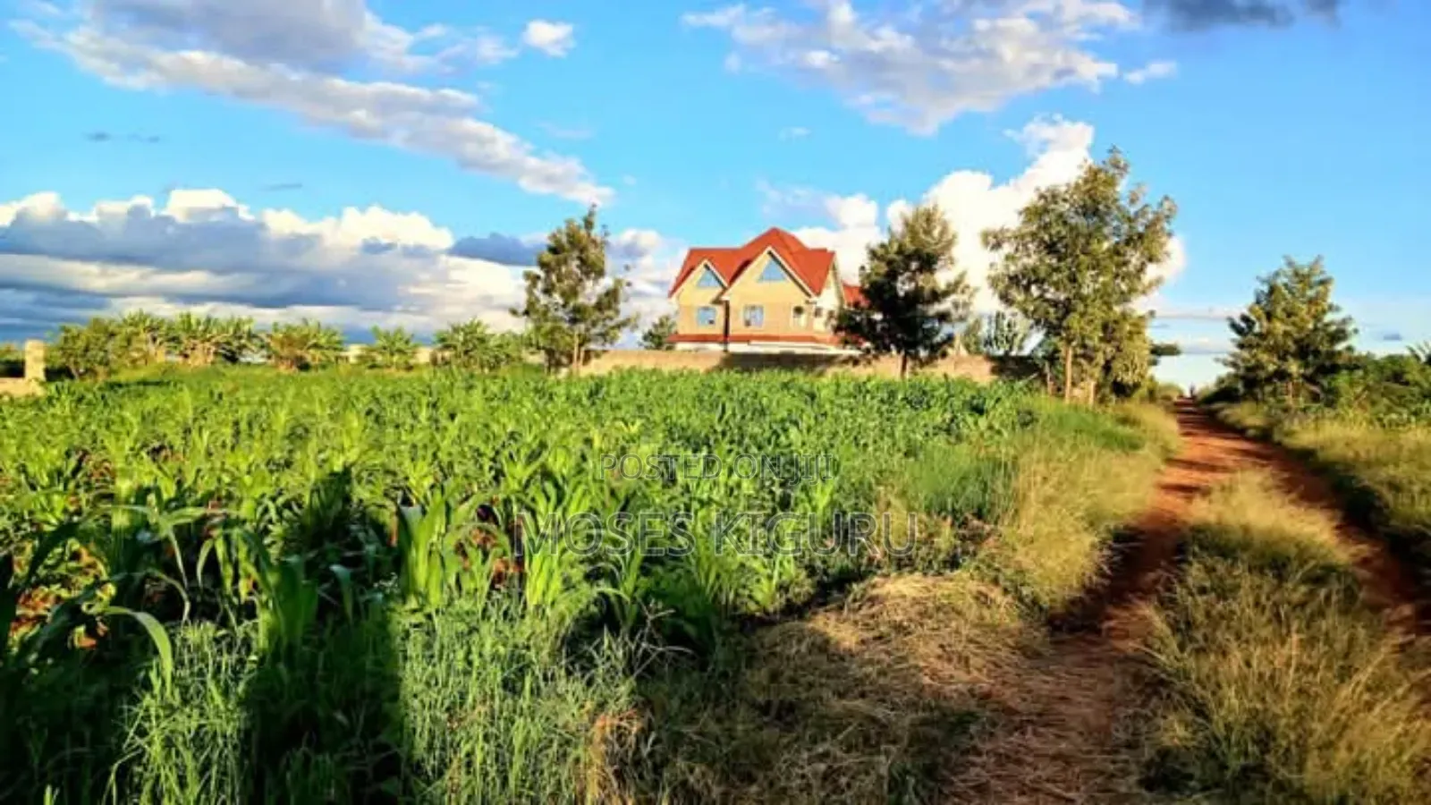Kangema Farms 50x100 Plots. in Gatanga