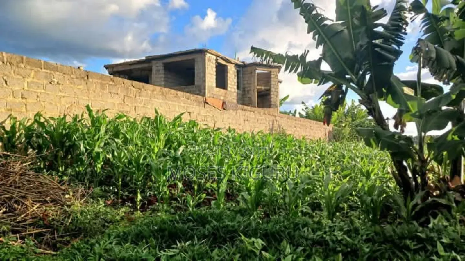 Kangema Farms 50x100 Plots. in Gatanga