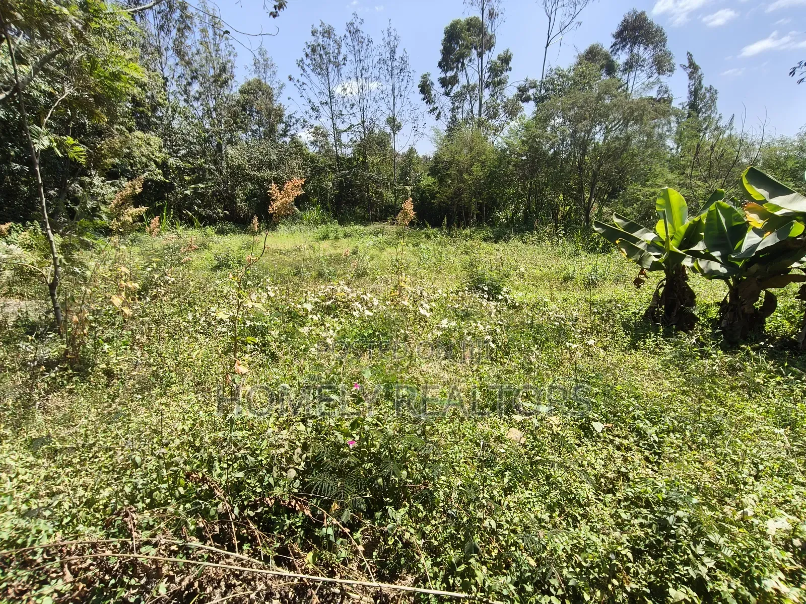 Half Acre Plot in Ngong Olkeri With 2-BDRM House Near Tarmac in Ol Keri