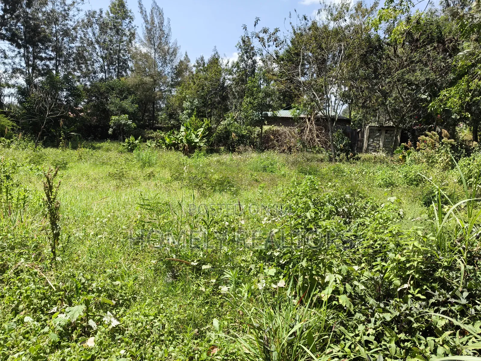 Half Acre Plot in Ngong Olkeri With 2-BDRM House Near Tarmac in Ol Keri