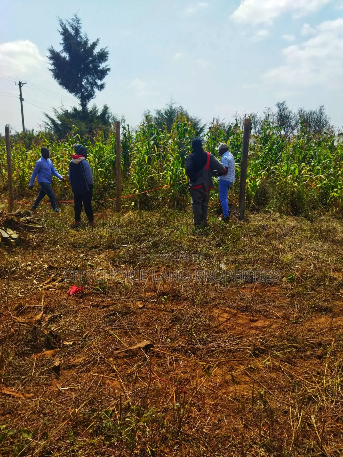 Mbomboini Prime 50x100 Residential Land in Karai