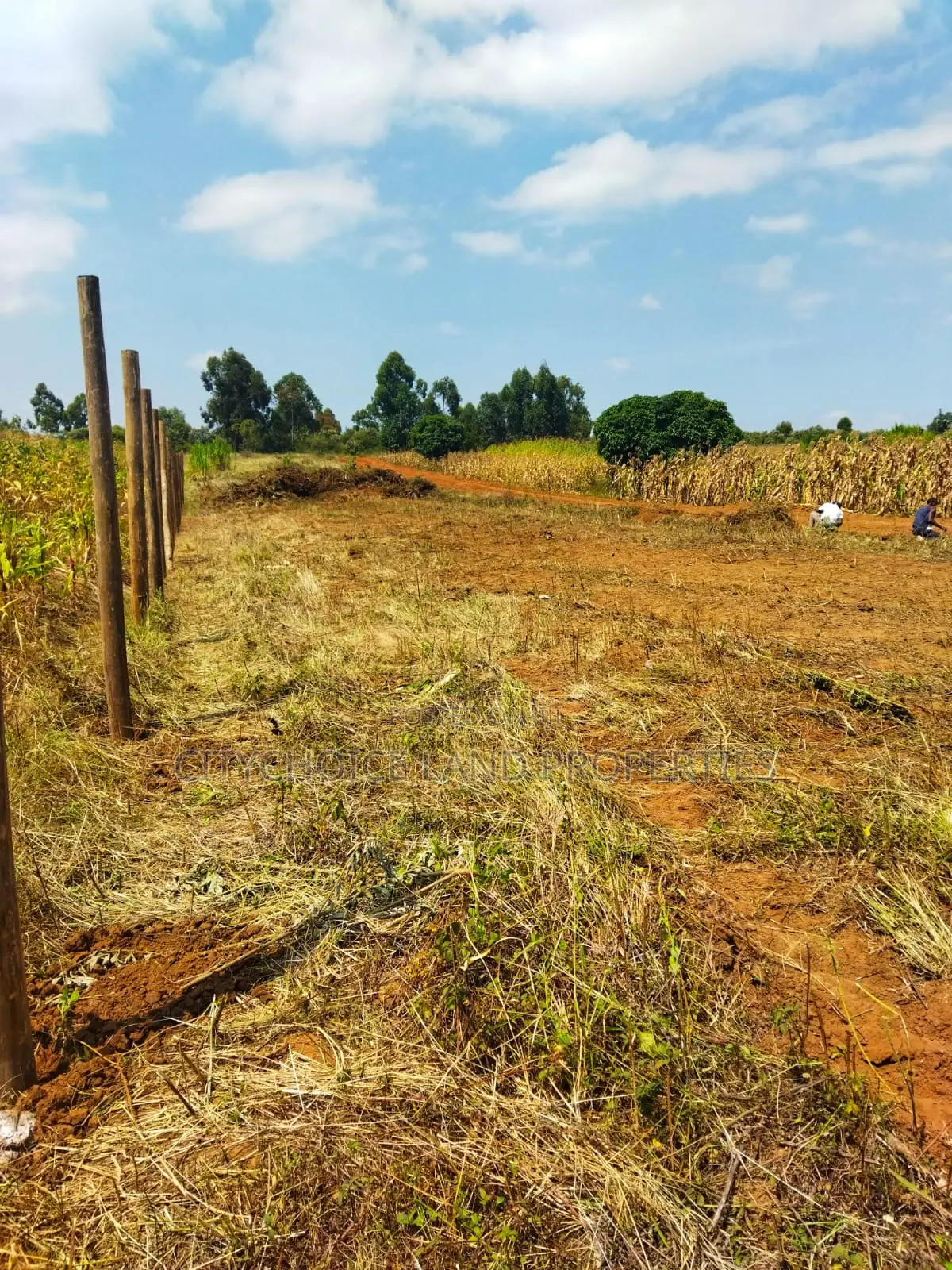 Mbomboini Prime 50x100 Residential Land in Karai