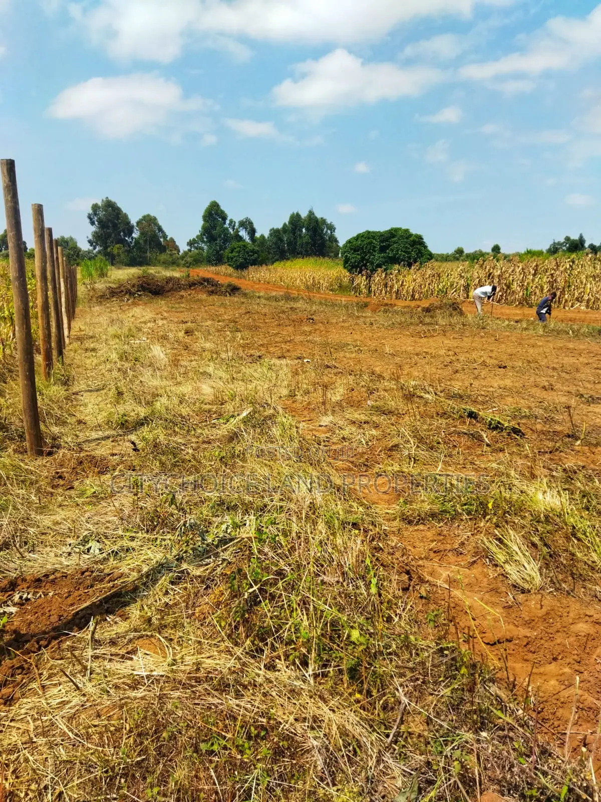 Mbomboini Prime 50x100 Residential Land in Karai