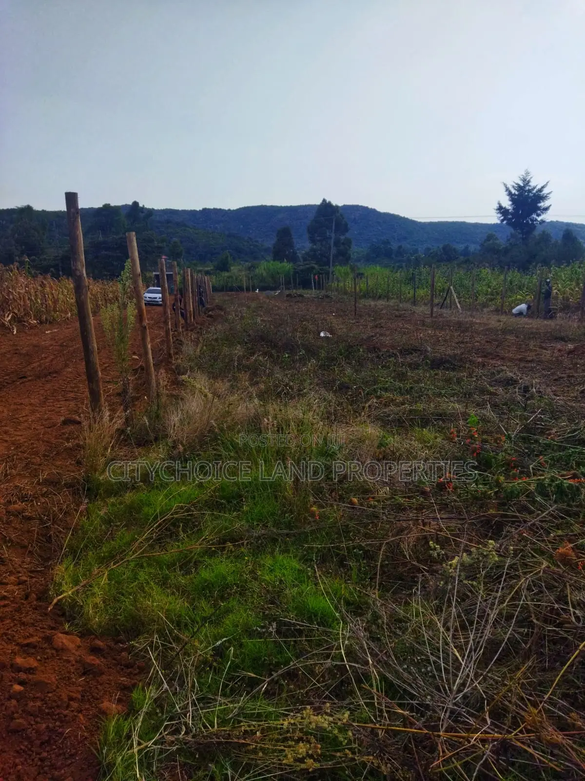 Own 50x100ft in Nachu – Deposit KSH Today! in Karai