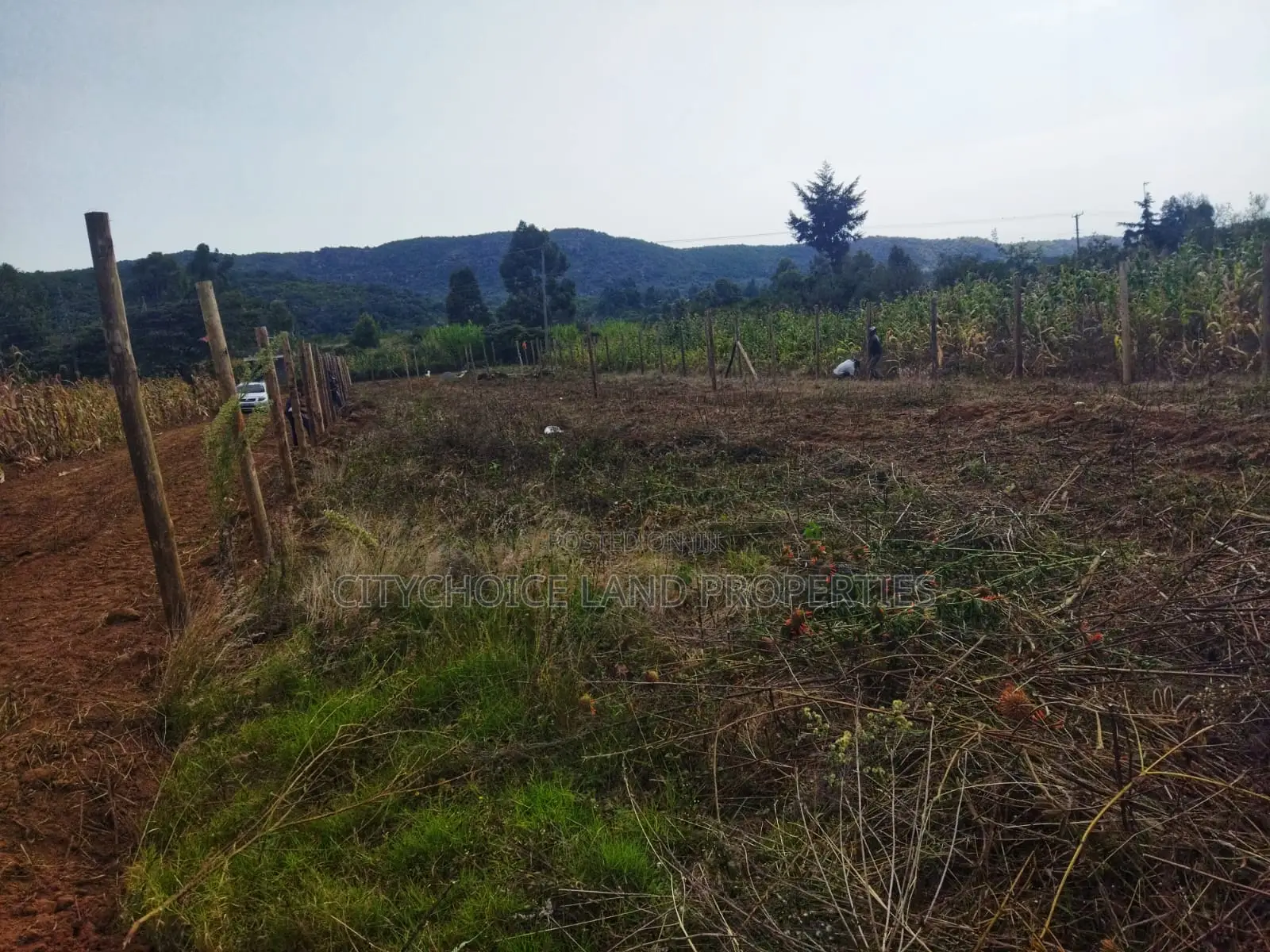 Own 50x100ft in Nachu – Deposit KSH Today! in Karai