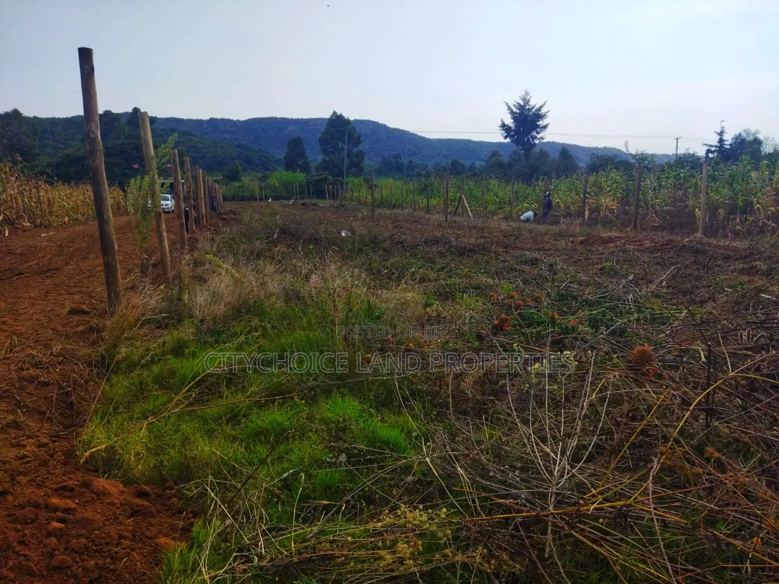 Own 50x100ft in Nachu – Deposit KSH Today! in Karai