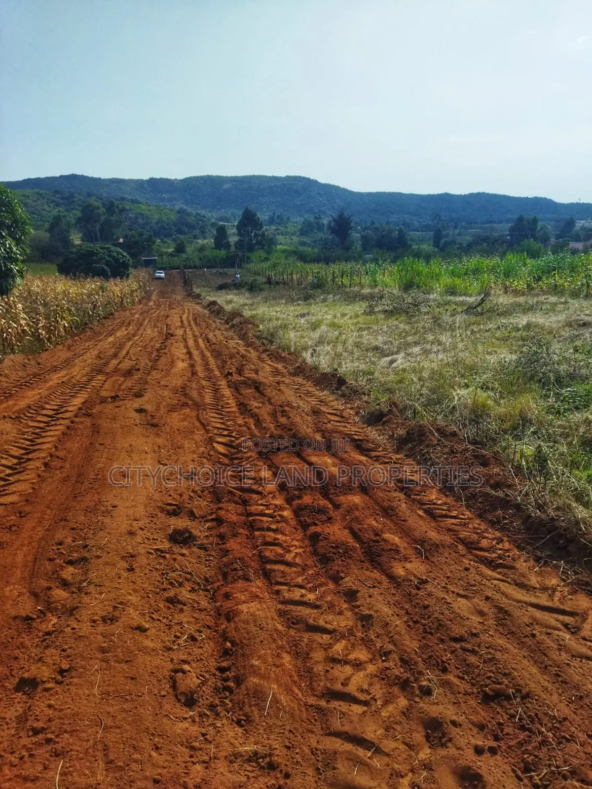 Limited Plots in Nachu! Clean Title, Flexible Payment in Karai