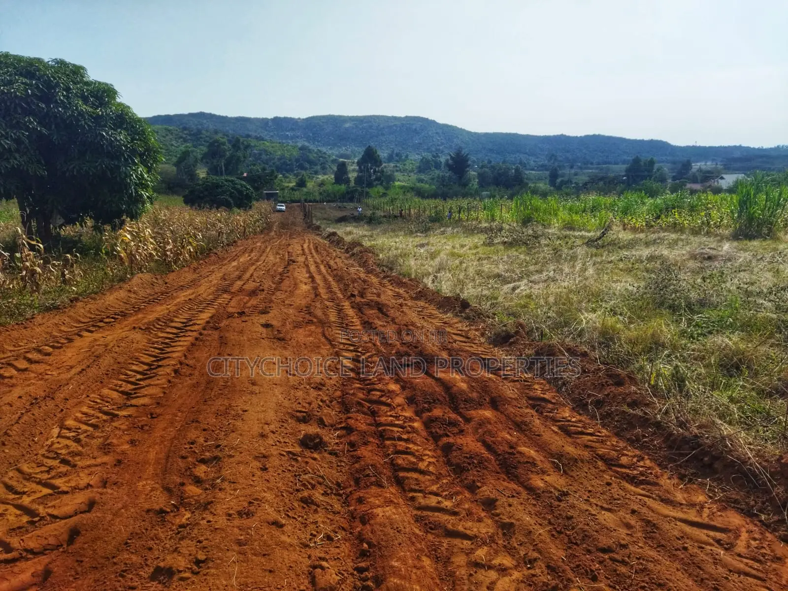 Limited Plots in Nachu! Clean Title, Flexible Payment in Karai