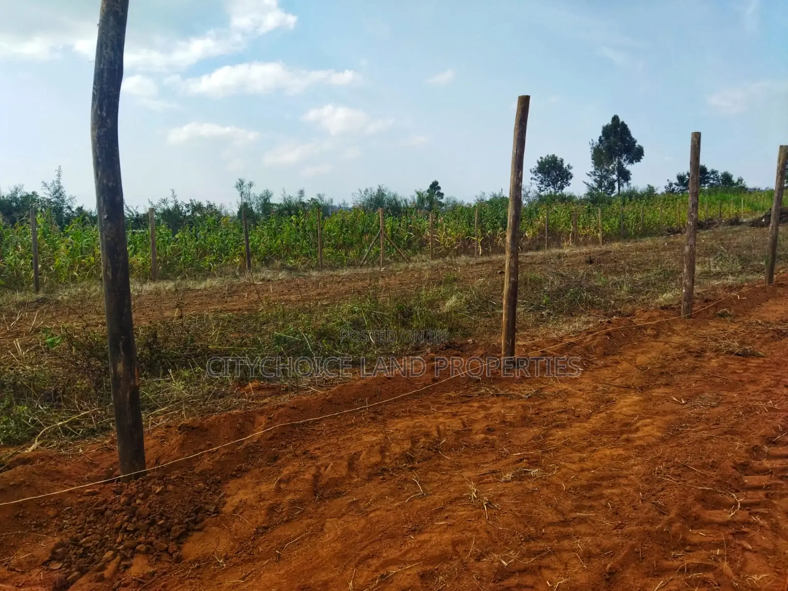 Build in Nachu! 50x100ft Plots – Water Power on-Site in Karai