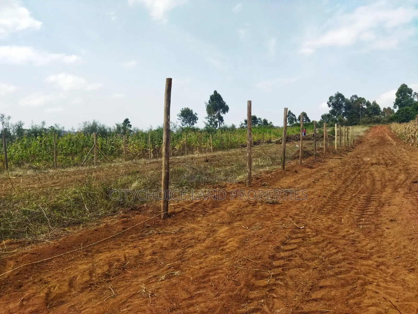 Build in Nachu! 50x100ft Plots – Water Power on-Site in Karai