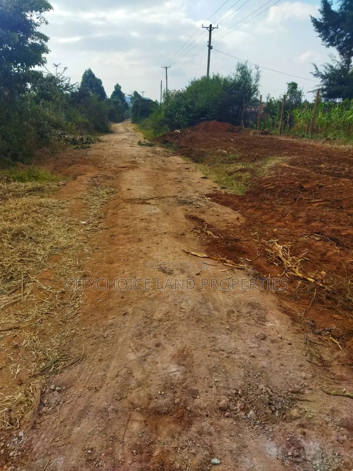 Affordable 50x100 Land in Nachu Mbomboini – Ready Title Deed in Karai