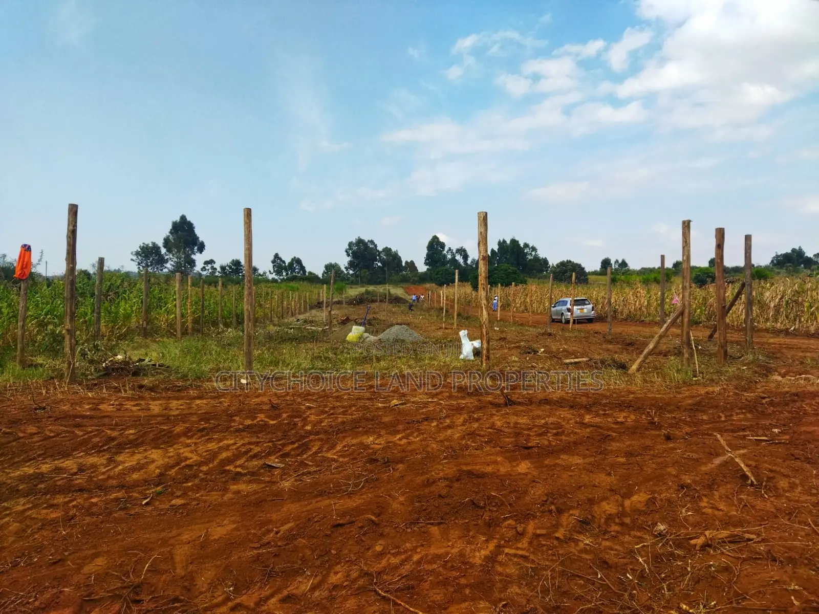 Affordable 50x100 Land in Nachu Mbomboini – Ready Title Deed in Karai