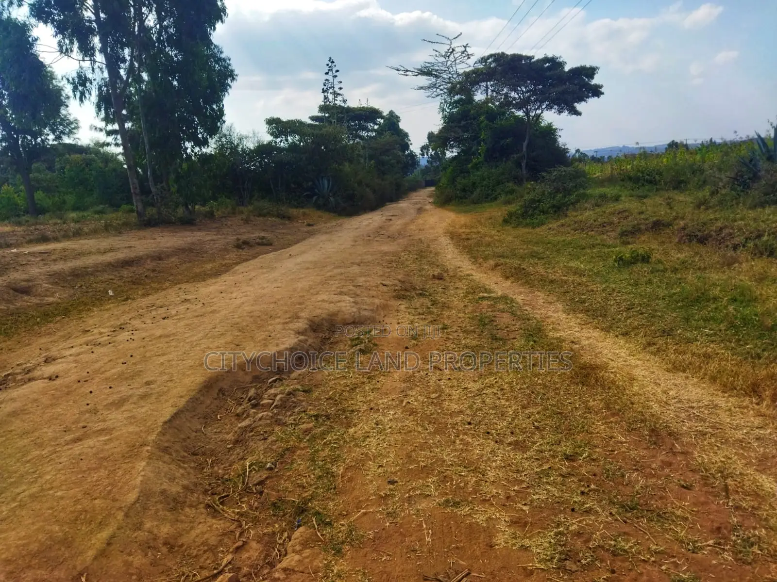 Affordable 50x100 Land in Nachu Mbomboini – Ready Title Deed in Karai