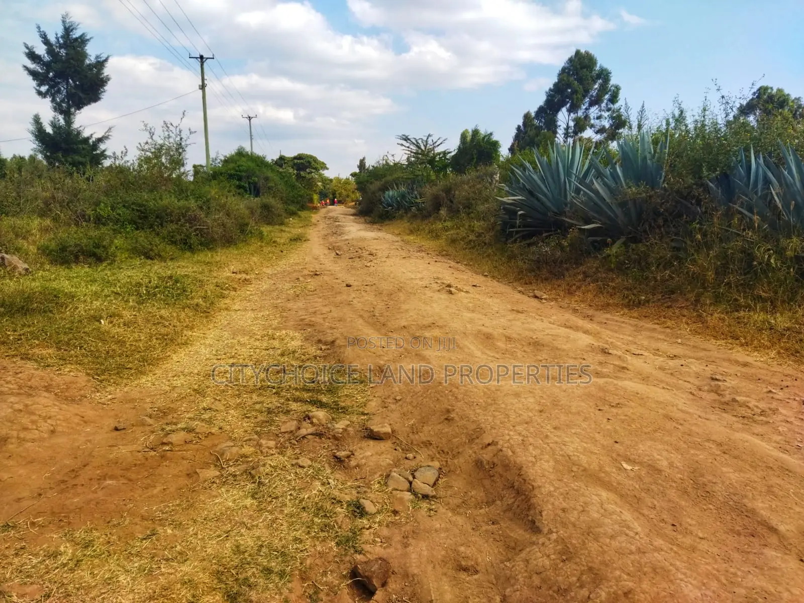 Affordable 50x100 Land in Nachu Mbomboini – Ready Title Deed in Karai