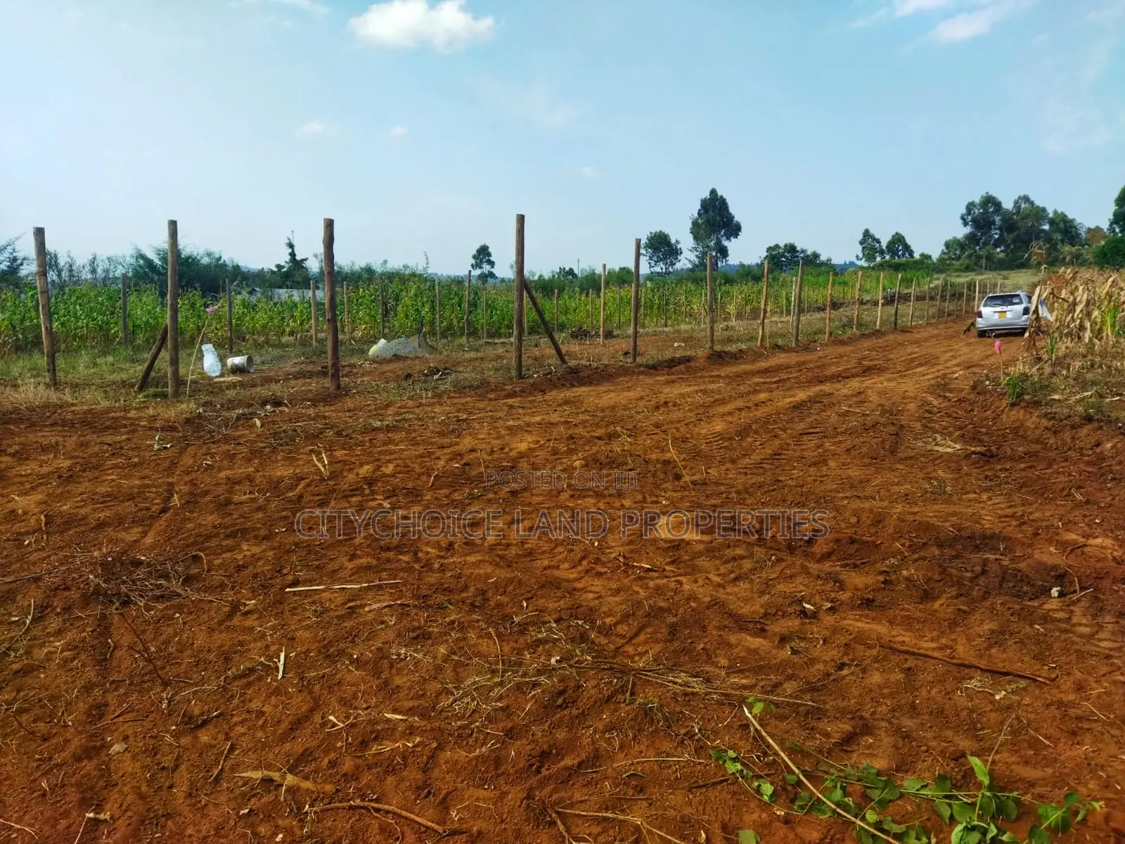 Invest in Nachu! Own 50x100 Land From Just in Karai