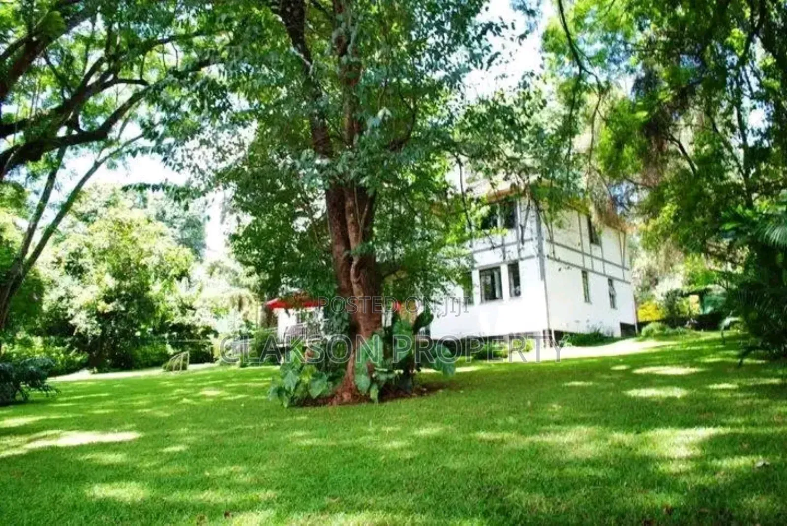 5bdrm Apartment in Rosslyn for rent in Rosslyn