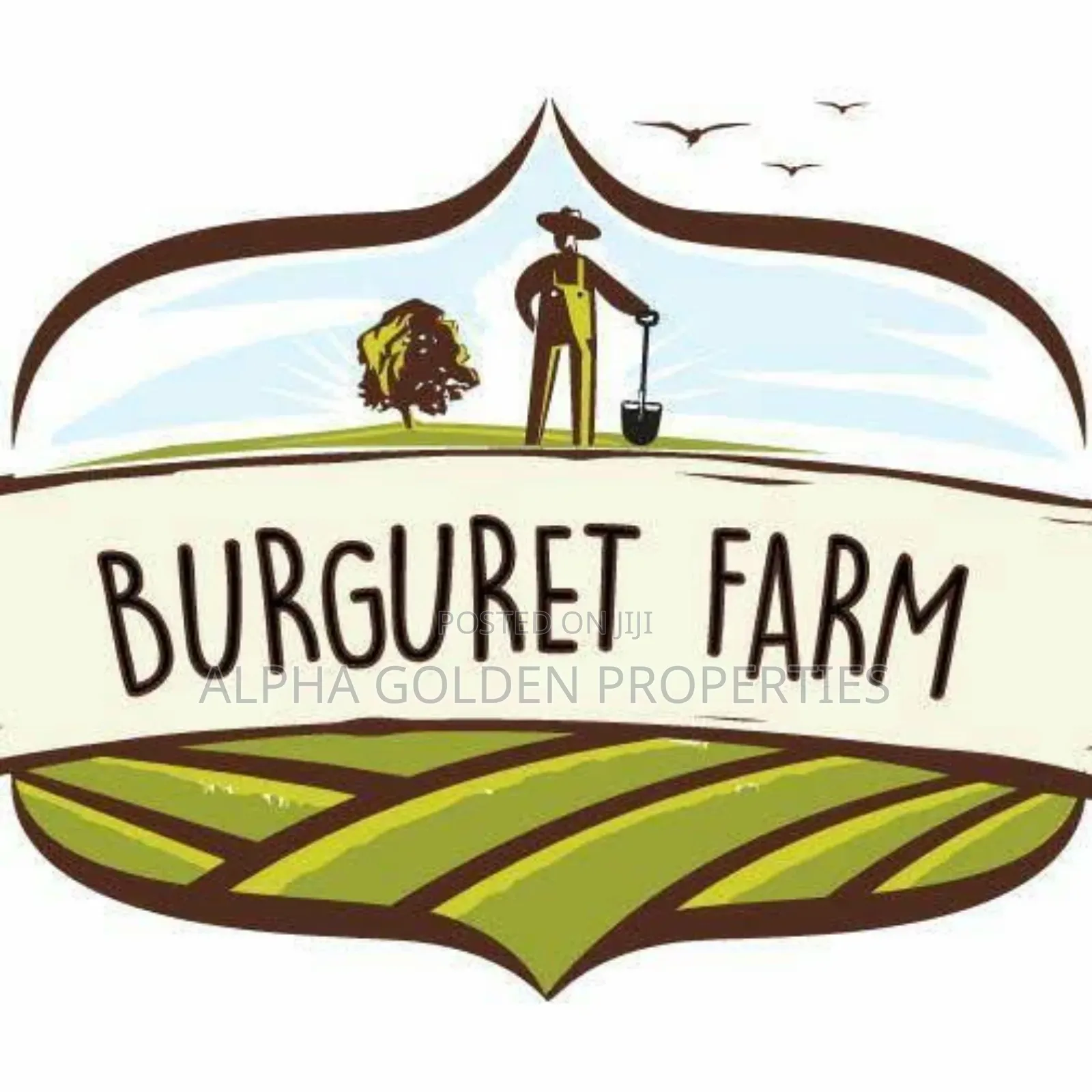 1 Acre Barguret Area in Nanyuki