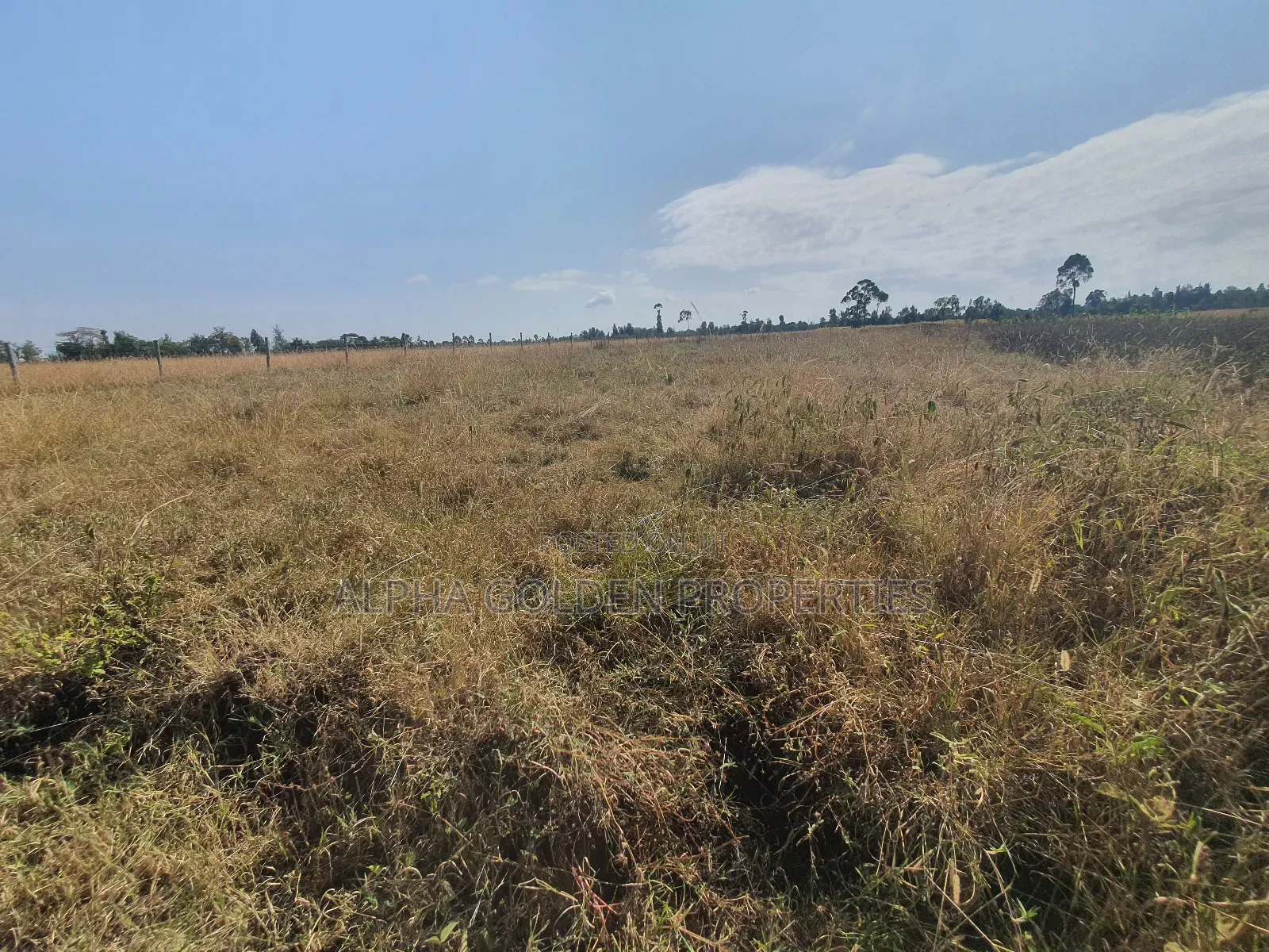 1 Acre Barguret Area in Nanyuki