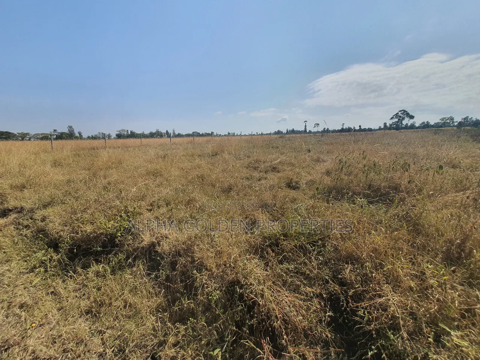 1 Acre Barguret Area in Nanyuki