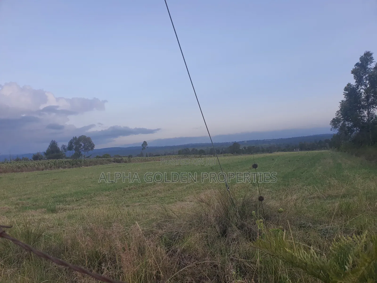 3 Acres in Nanyuki Ragati in Nanyuki