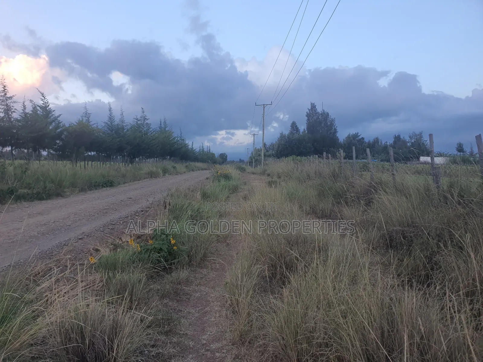 3 Acres in Nanyuki Ragati in Nanyuki