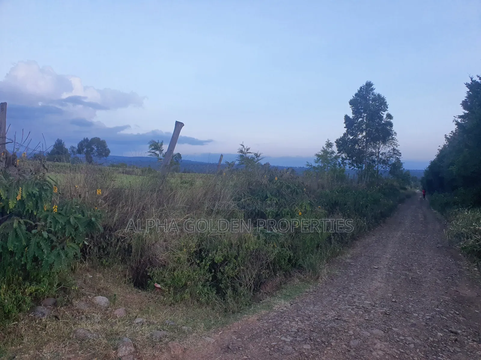 3 Acres in Nanyuki Ragati in Nanyuki